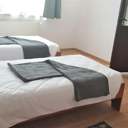 Homestay Coroian House *